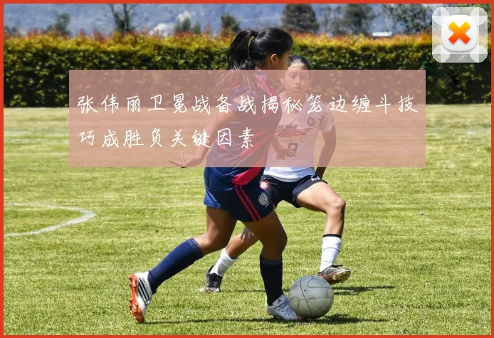 张伟丽卫冕战备战揭秘笼边缠斗技巧成胜负关键因素