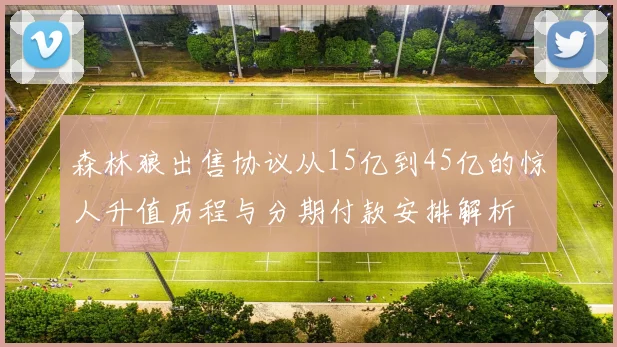 森林狼出售协议从15亿到45亿的惊人升值历程与分期付款安排解析